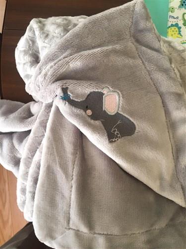 Little Elephant