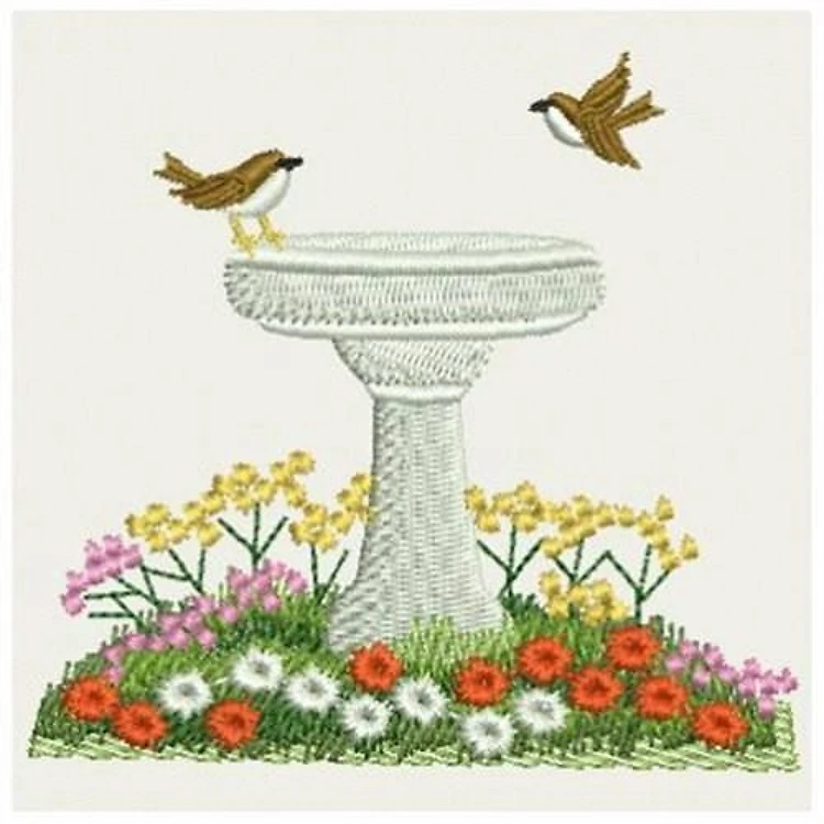 Bird Bath