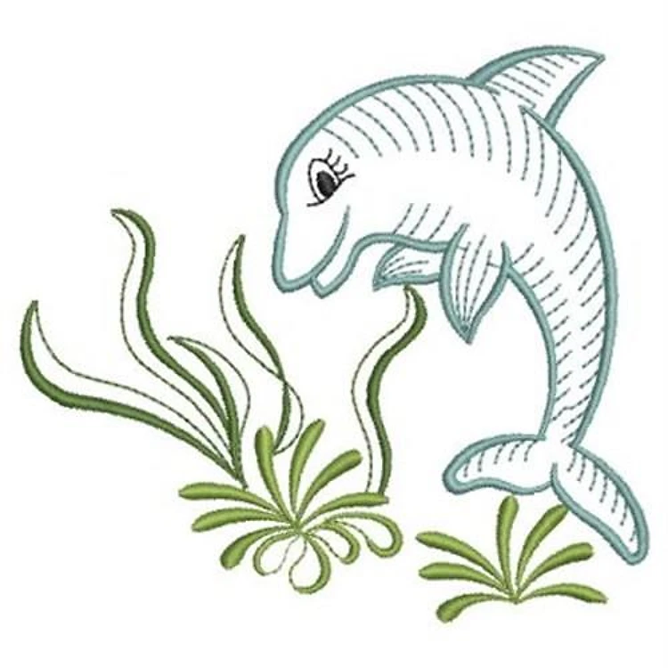 Dolphin Leap