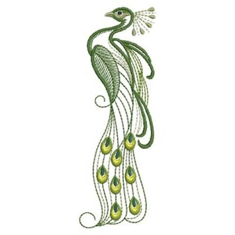 Lovely Peacock