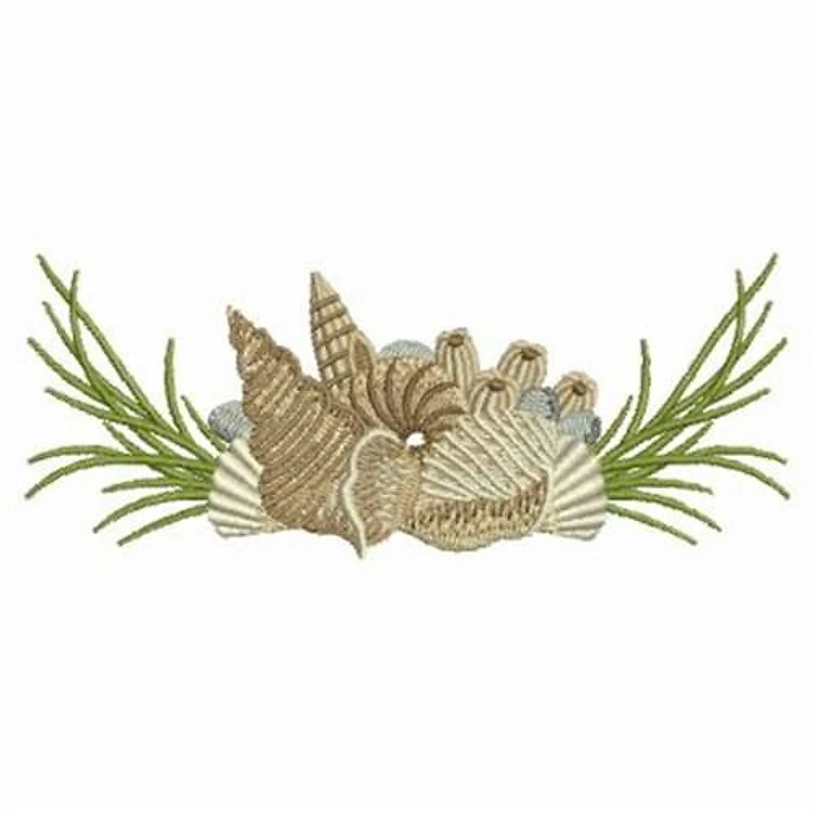 Seashells Border