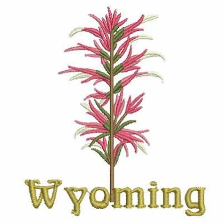 Wyoming State Flower