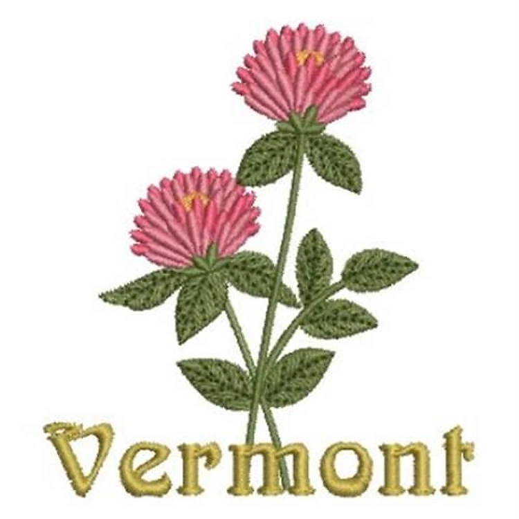 State Vermont Flower