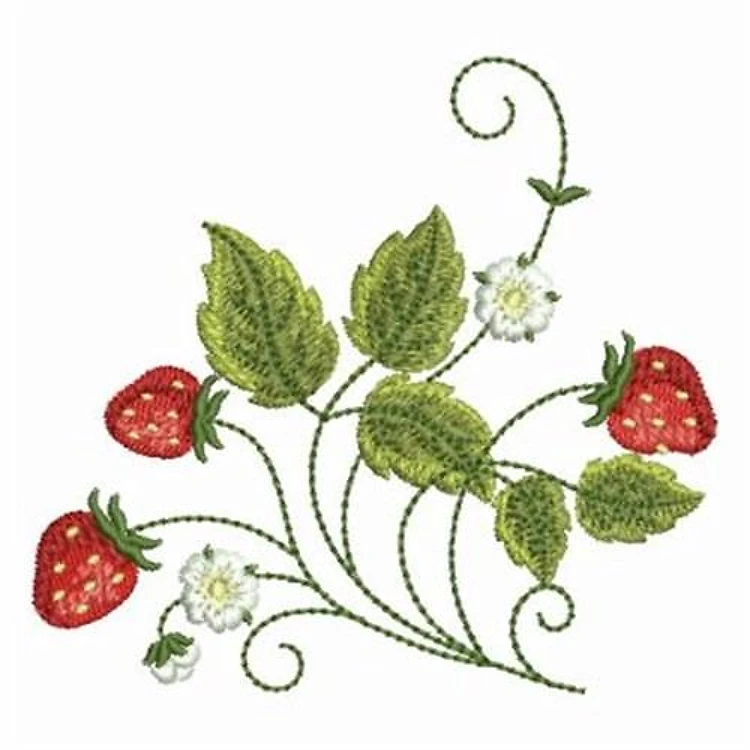 Strawberry Patch
