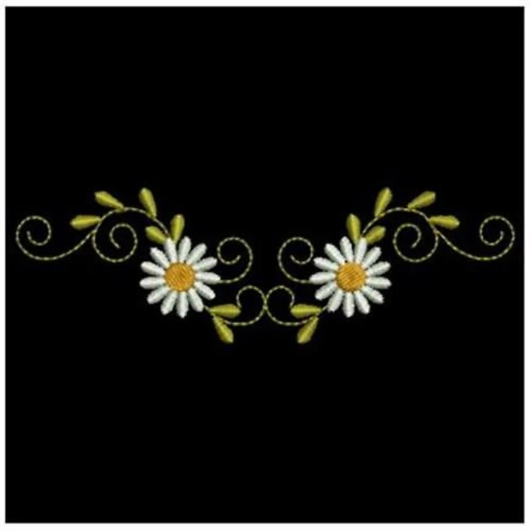 Beautiful Daisy Border