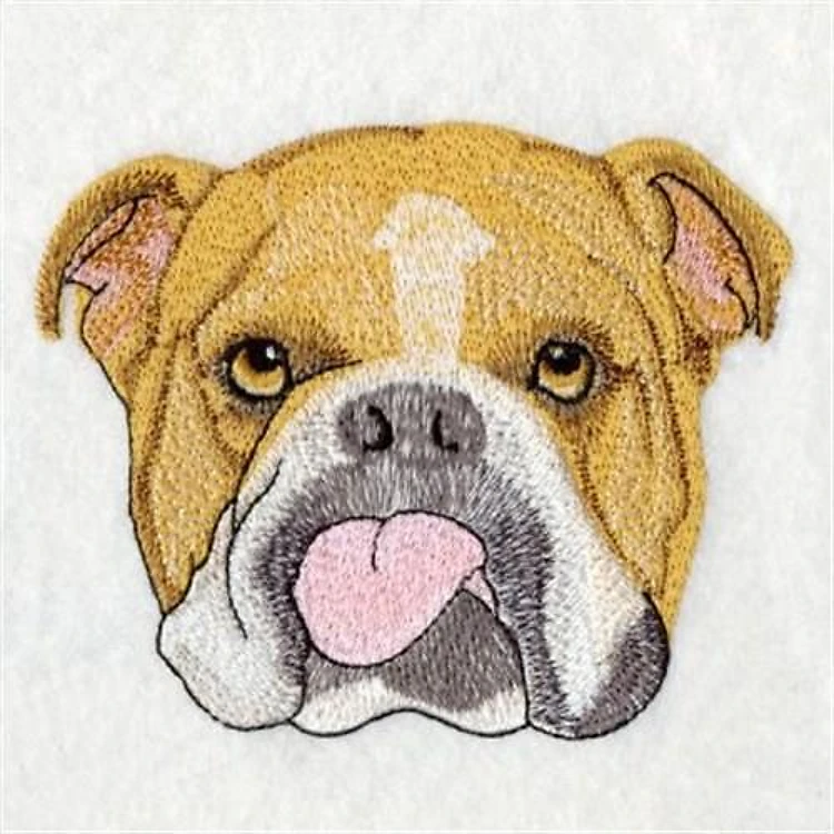 Bulldog Portrait