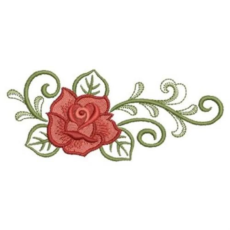 Curly Rose