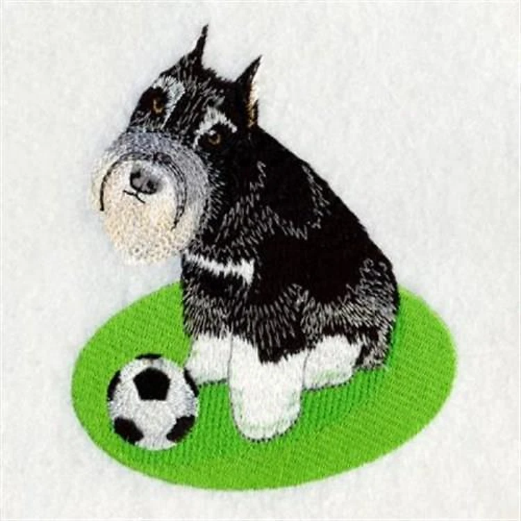 Soccer Schnauzer