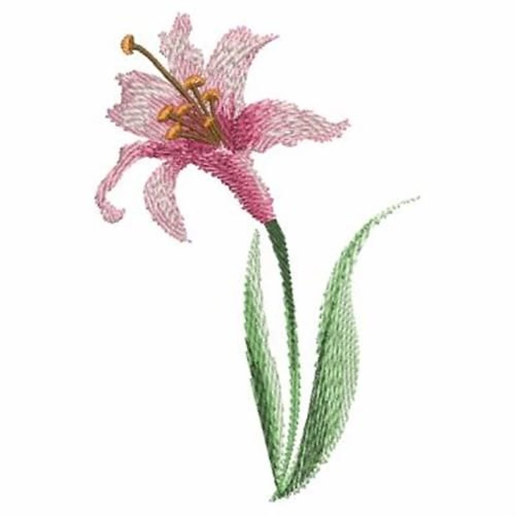 Lily Flower