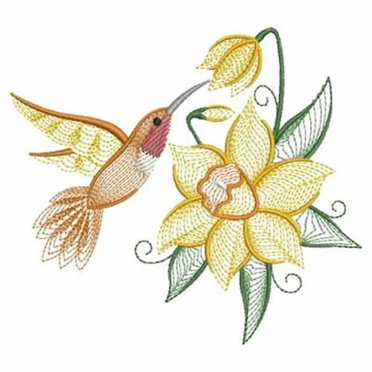 Daffodil Hummingbird