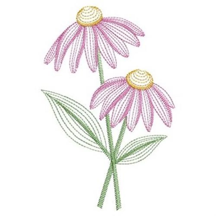 Vintage Daisy