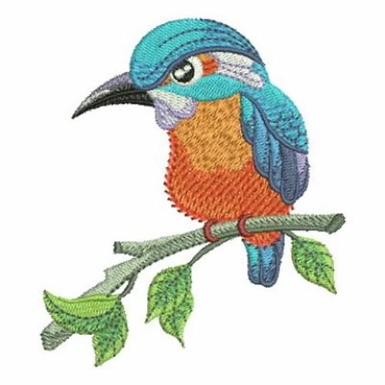 Kingfisher On Branch