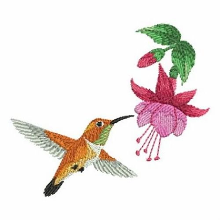 Hummingbird and Flower