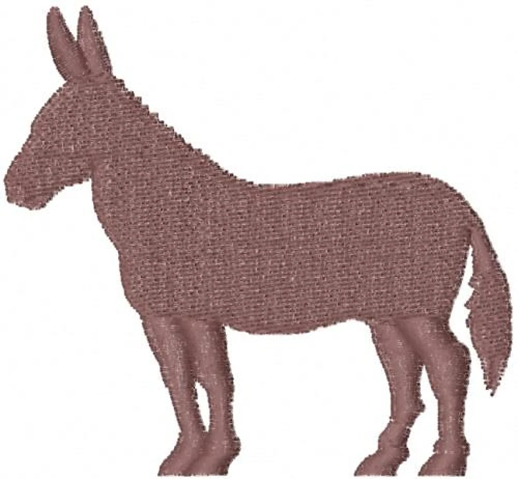 Donkey Donkey