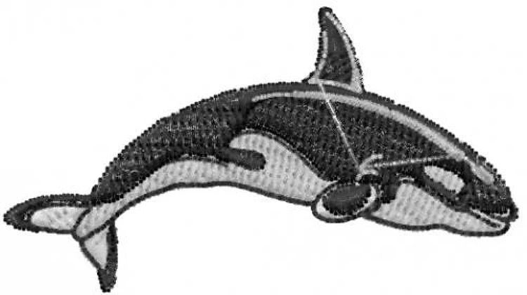 Orca Orca