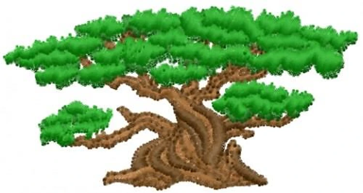 Tree Tree