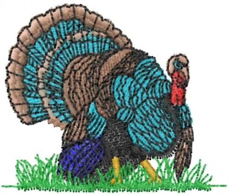Turkey Turkey