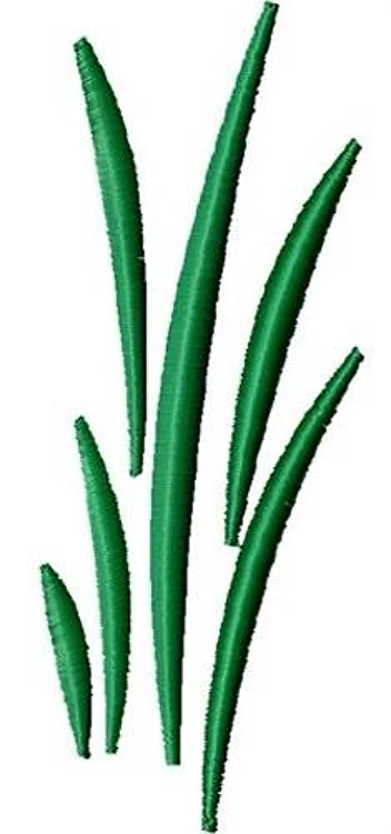 Grass Grass