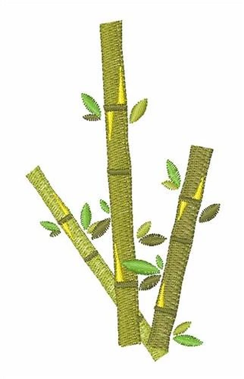 Bamboo Bamboo