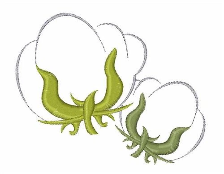Cotton Cotton