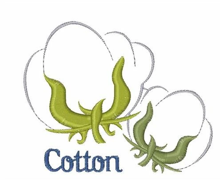 Cotton Cotton