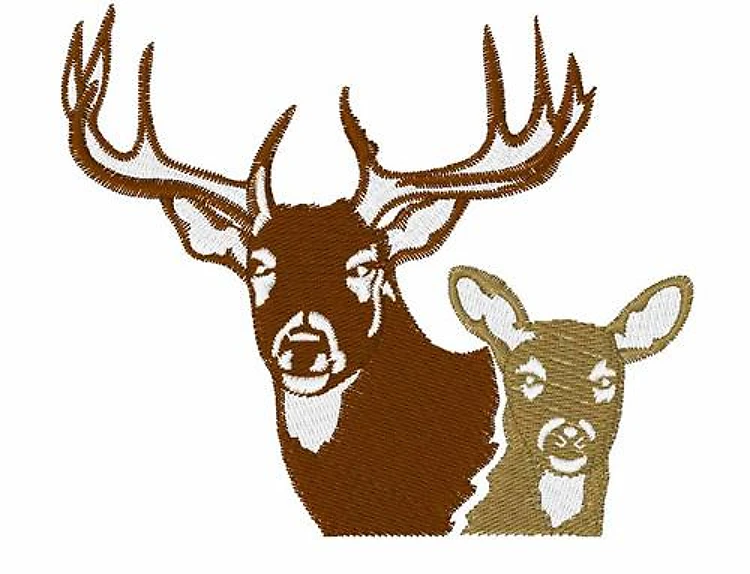 Deer Deer