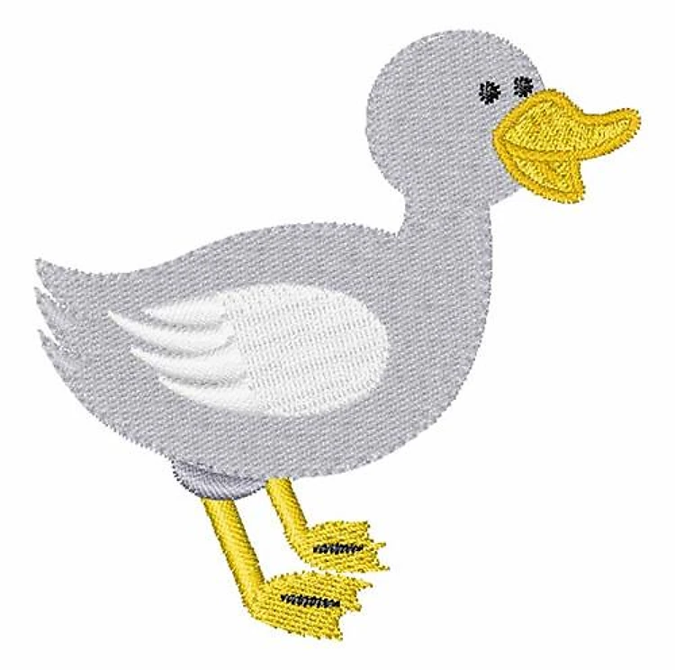 Duck Duck