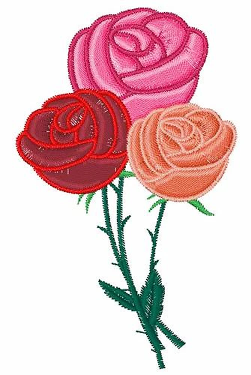 Roses Roses