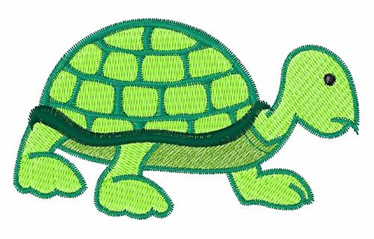 Turtle Turtle