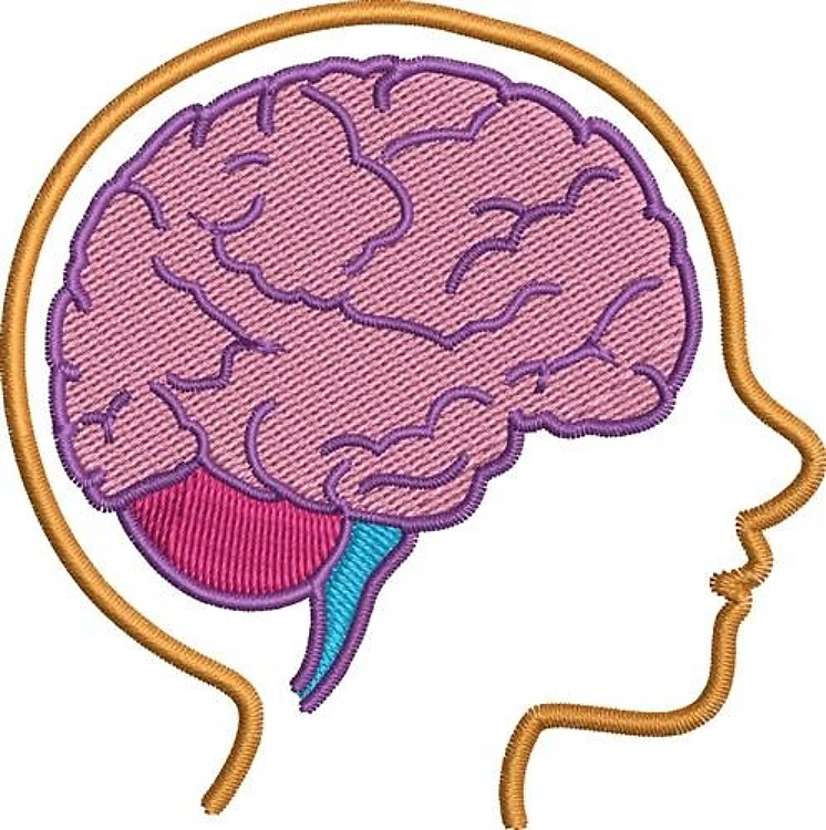 Brain Brain