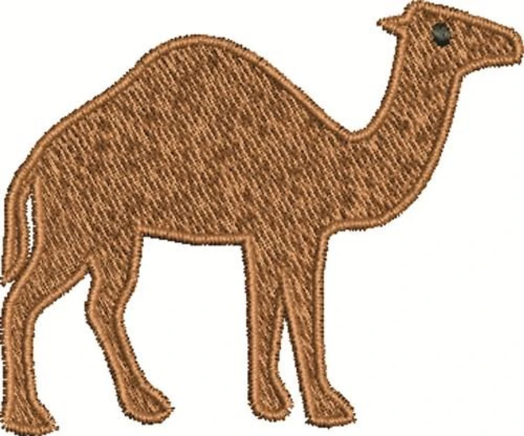 Camel Camel
