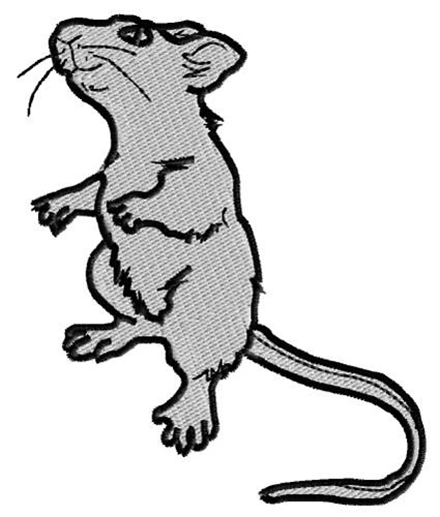 Mouse Mouse