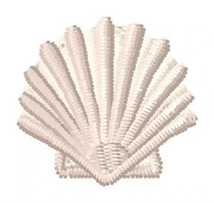 Shell Shell
