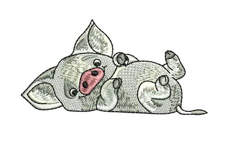 Pua Pua