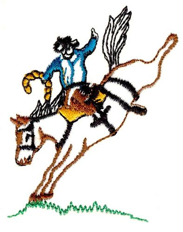 Bronco Bronco