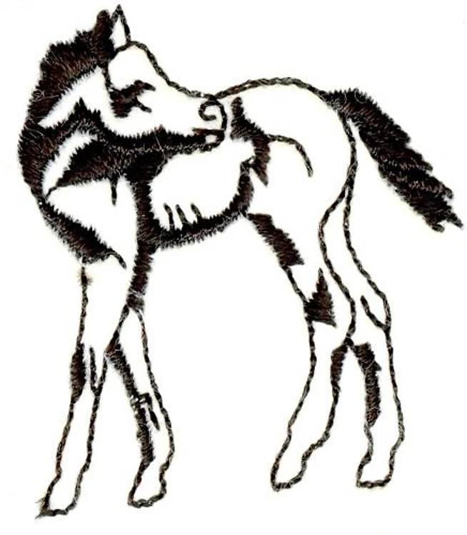 Colt Colt