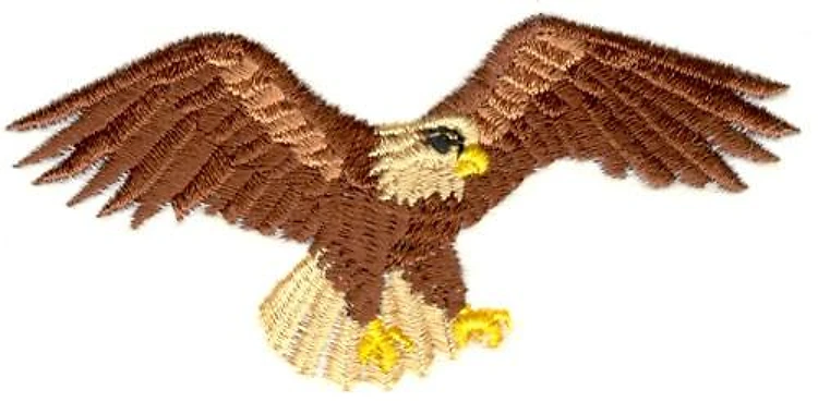 Eagle Eagle