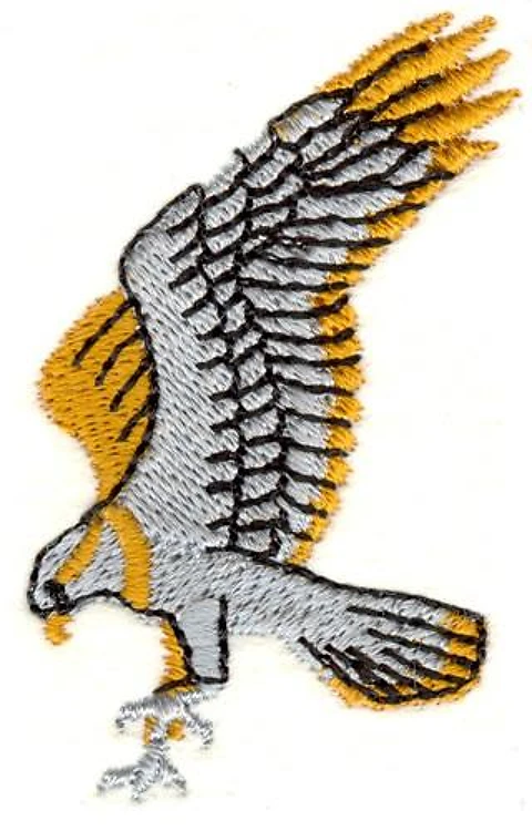 Eagle Eagle