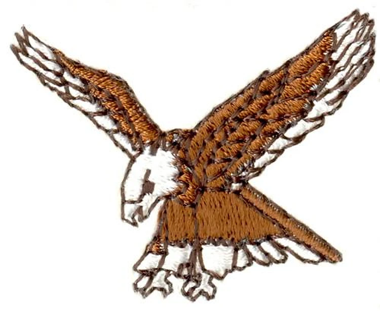 Eagle Eagle