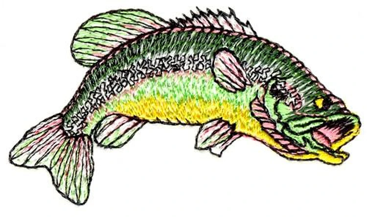 Fish Fish