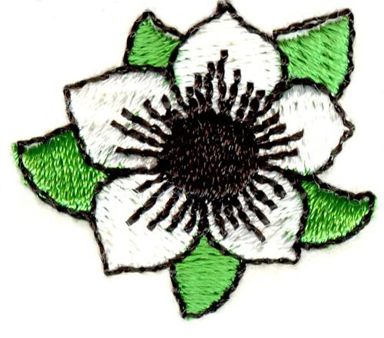 Flower Flower