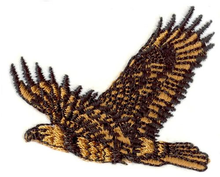 Hawk Hawk