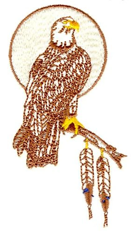 Hawk Hawk