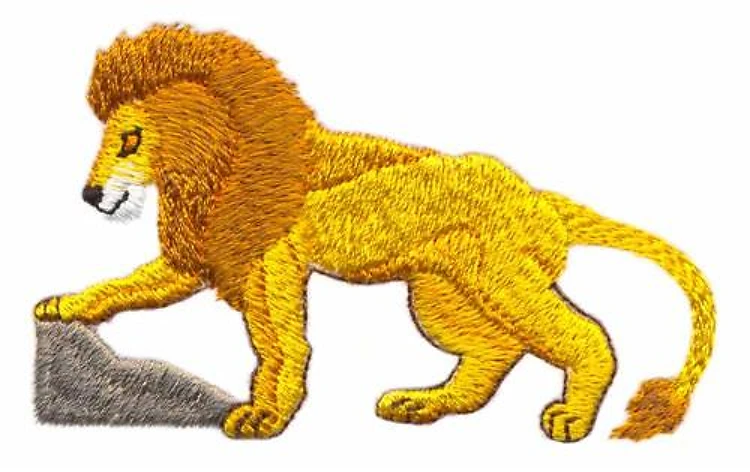 Lion Lion