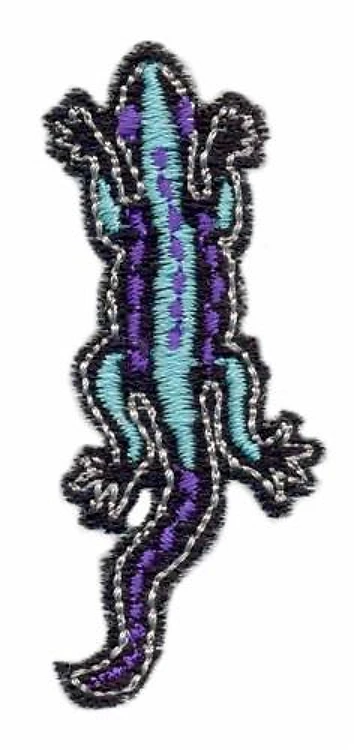 Lizard Lizard