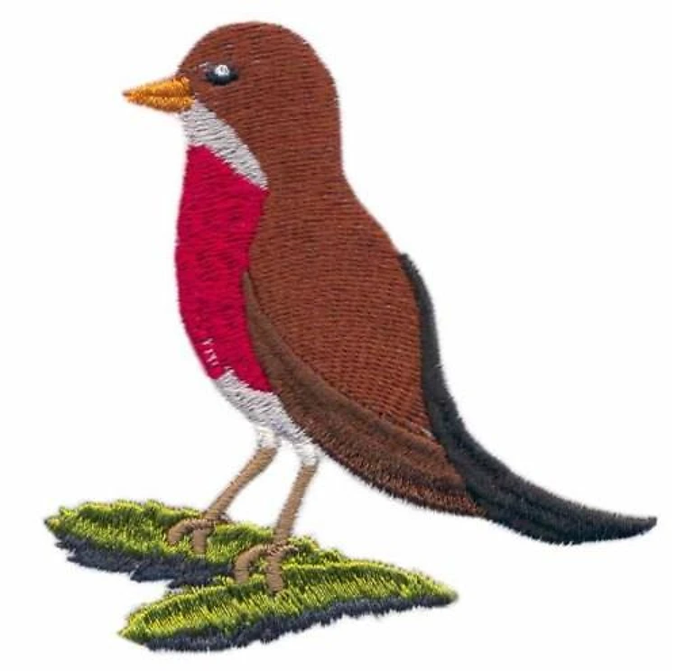 Robin Robin