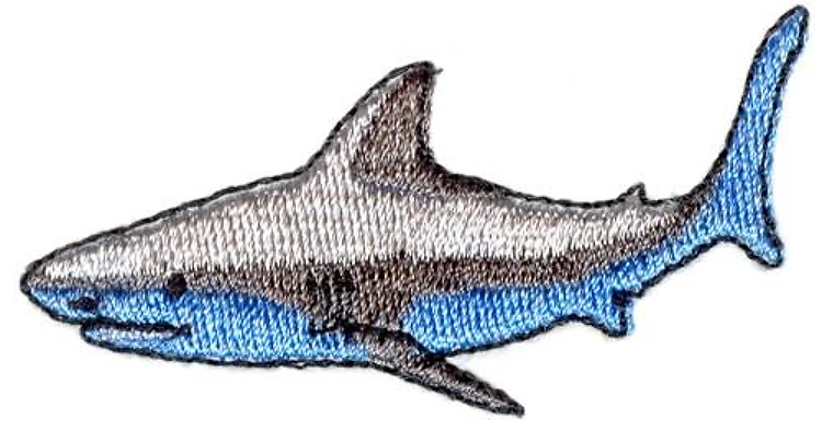 Shark Shark