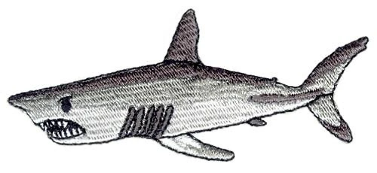 Shark Shark
