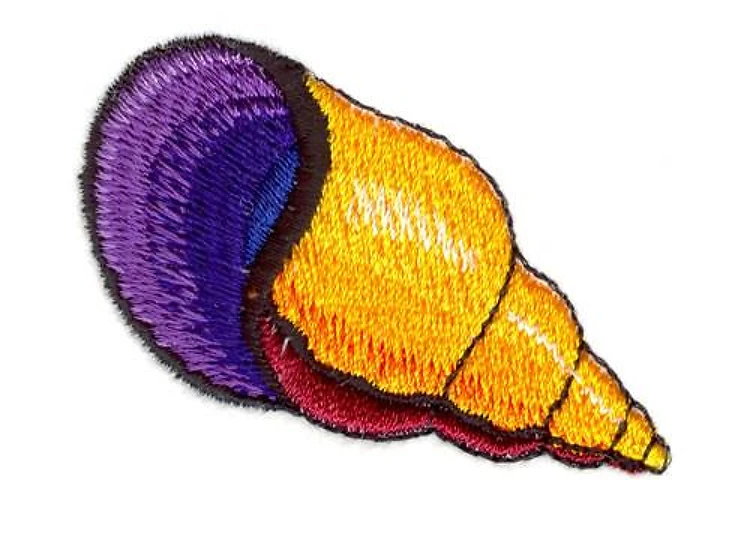 Shell Shell