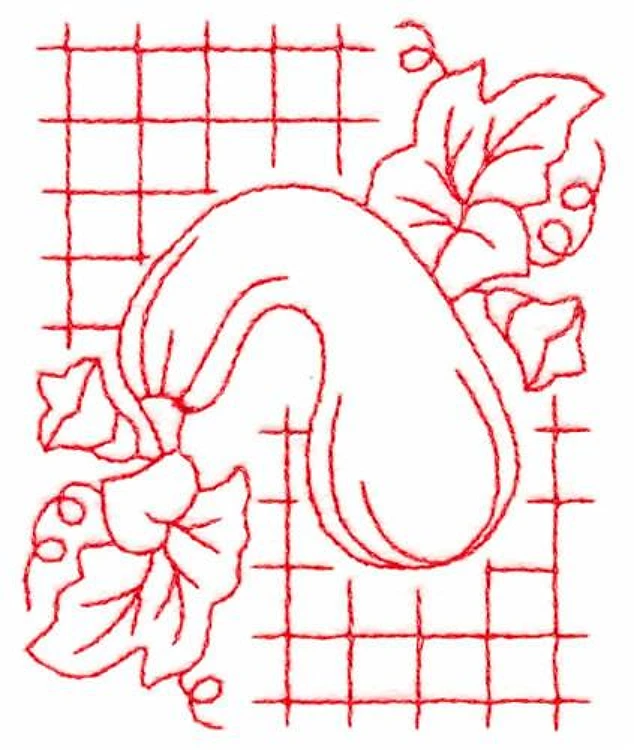 Squash Squash